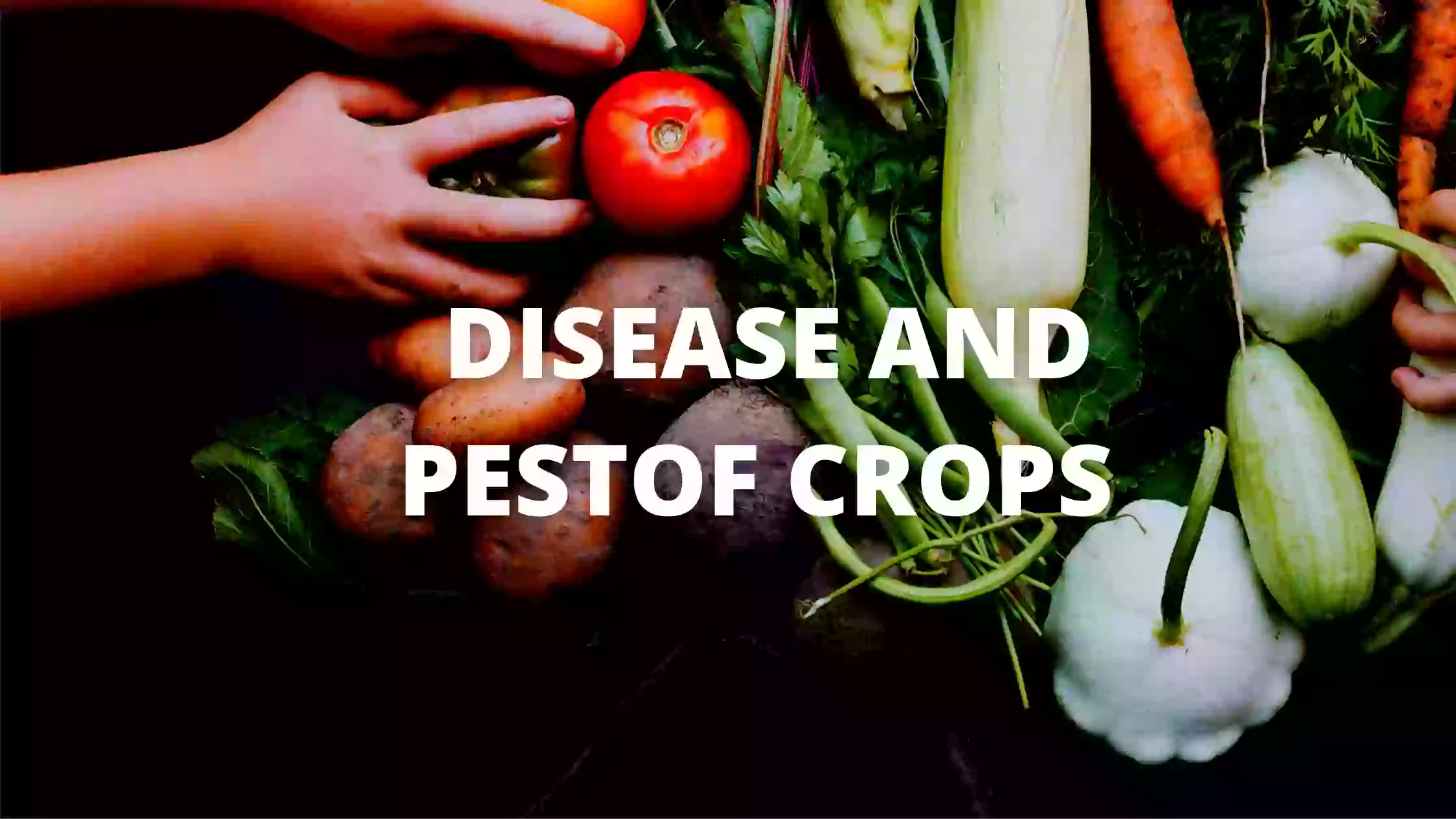 Crop Pests, Disease And Pest Of Crops, Plant Diseases, Insect Pests
