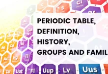 Periodic Table, The Periodic Table, Periodic Table Of Elements And First 20 Elements In Chemistry
